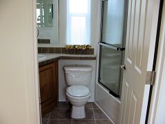 �z�[���g���[���[,����